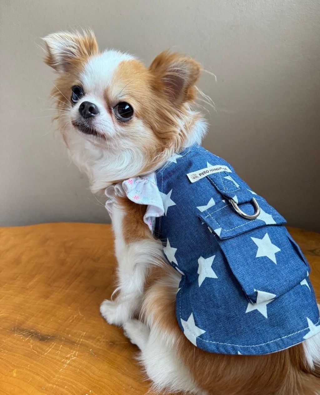 LINE_ALBUM_實穿照_241201_9