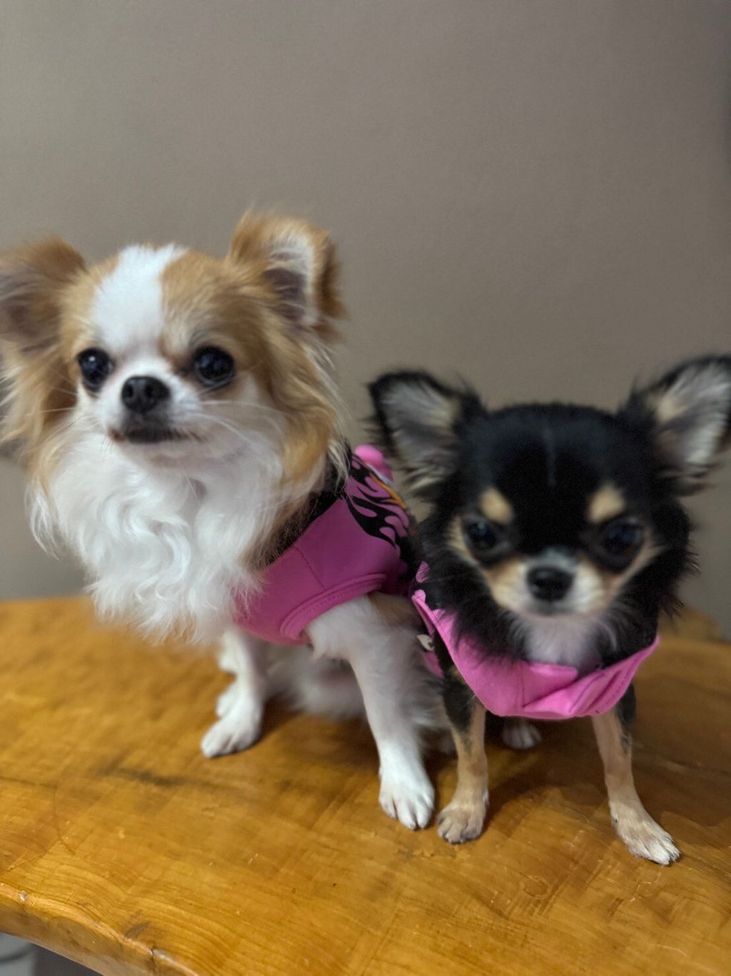 LINE_ALBUM_實穿照_241204_2