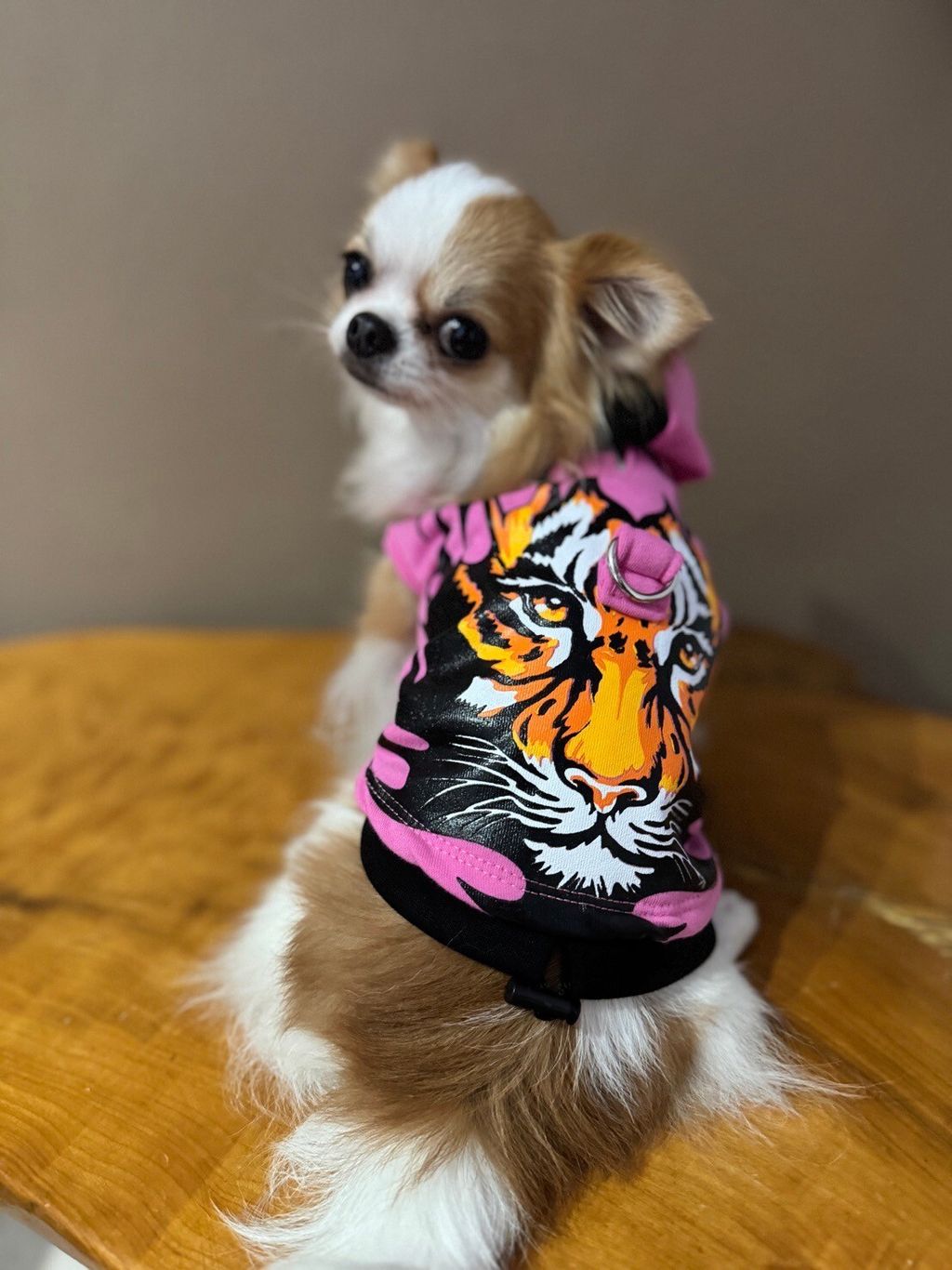 LINE_ALBUM_實穿照_241204_3