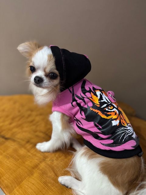 LINE_ALBUM_實穿照_241204_4