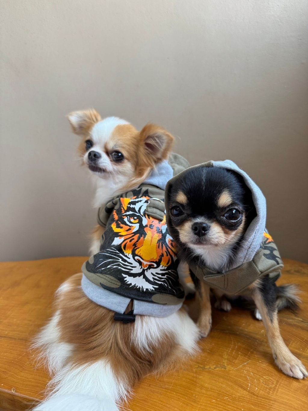 LINE_ALBUM_實穿照_241204_6