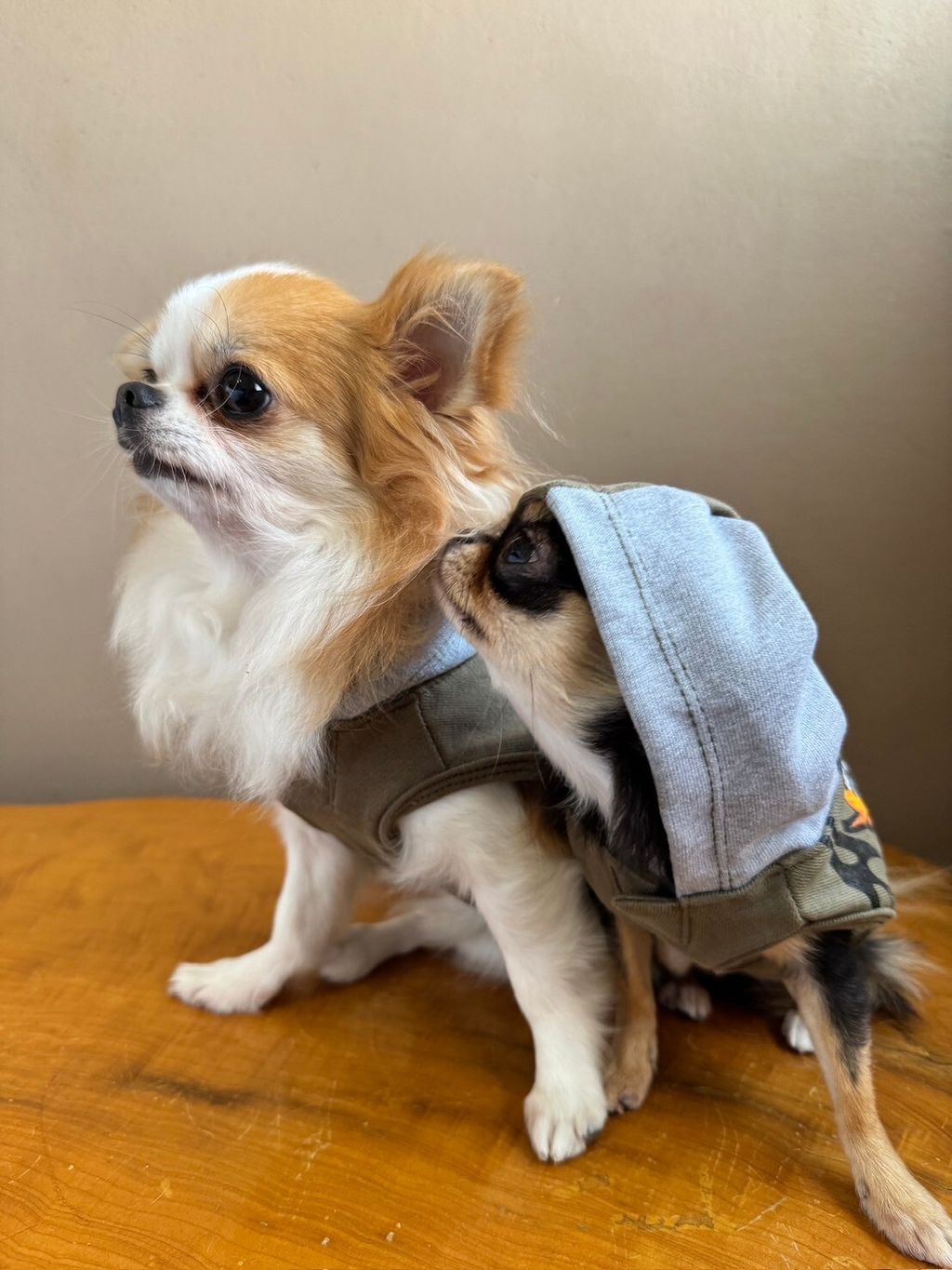 LINE_ALBUM_實穿照_241204_7