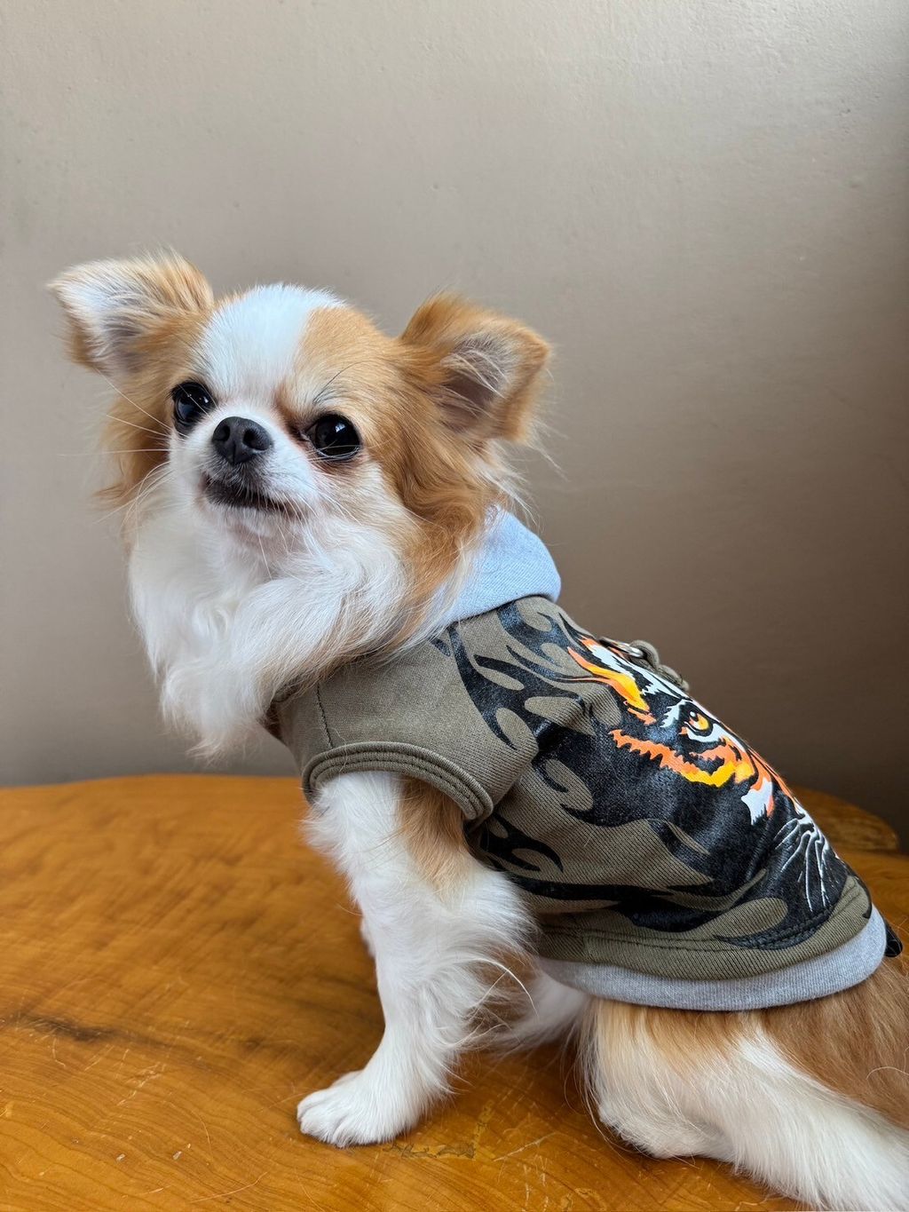 LINE_ALBUM_實穿照_241204_9