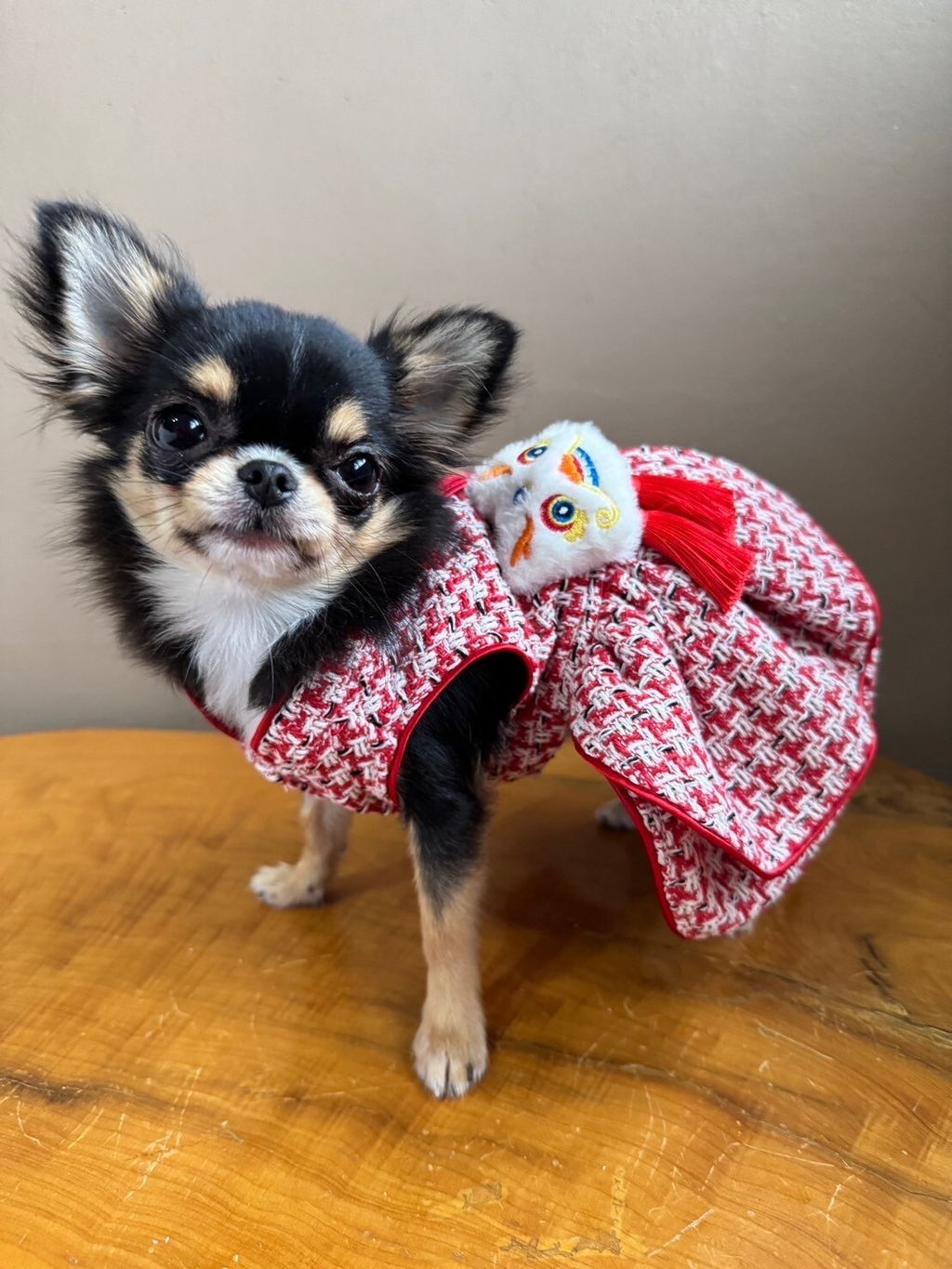 LINE_ALBUM_實穿照_241229_23