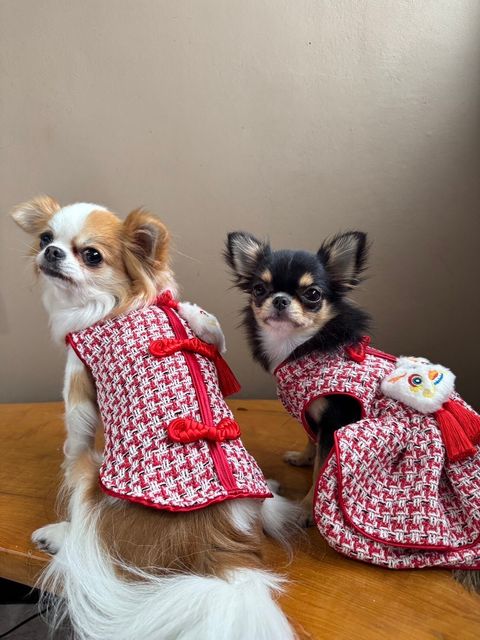 LINE_ALBUM_實穿照_241229_18