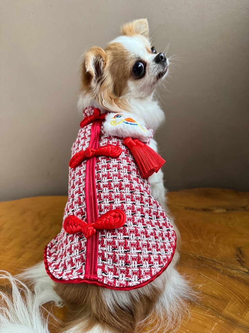 LINE_ALBUM_實穿照_241229_22