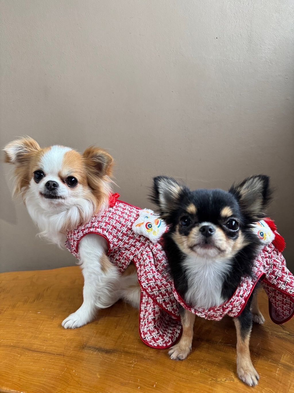 LINE_ALBUM_實穿照_241229_27