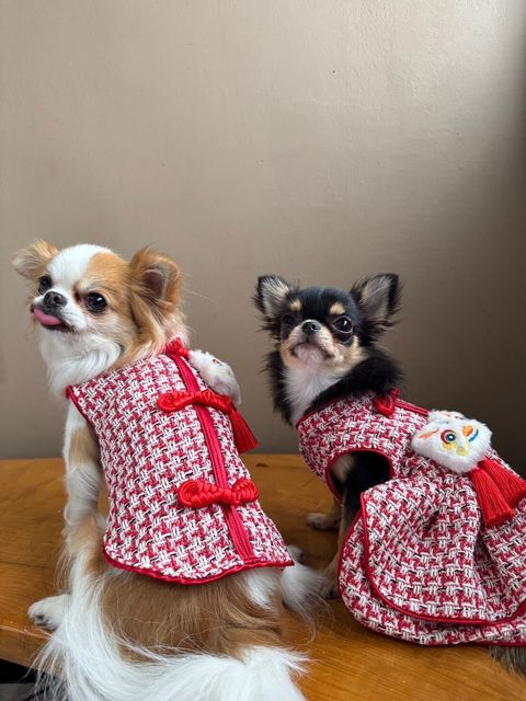 LINE_ALBUM_實穿照_241229_19