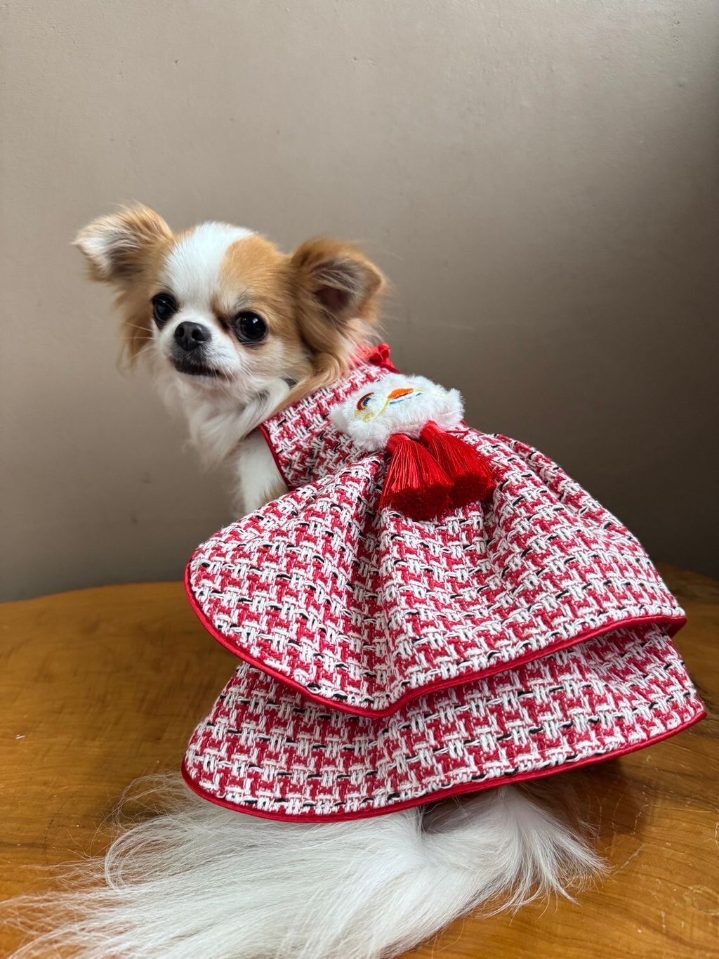 LINE_ALBUM_實穿照_241229_25