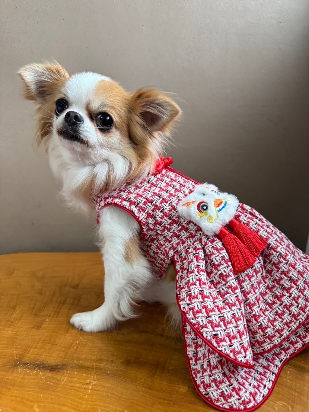 LINE_ALBUM_實穿照_241229_26