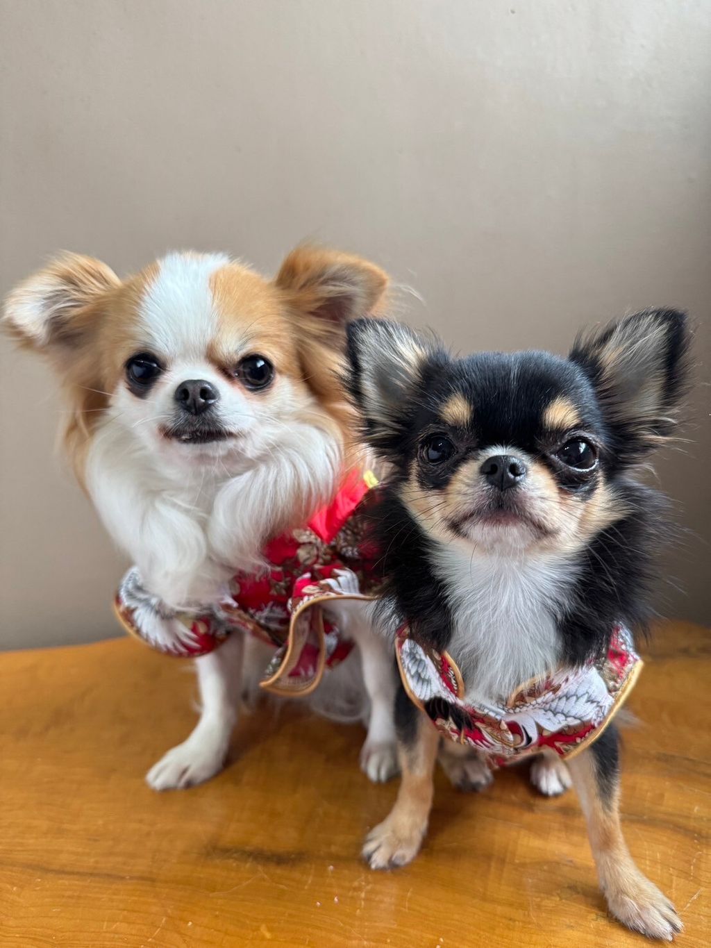 LINE_ALBUM_實穿照_241229_11