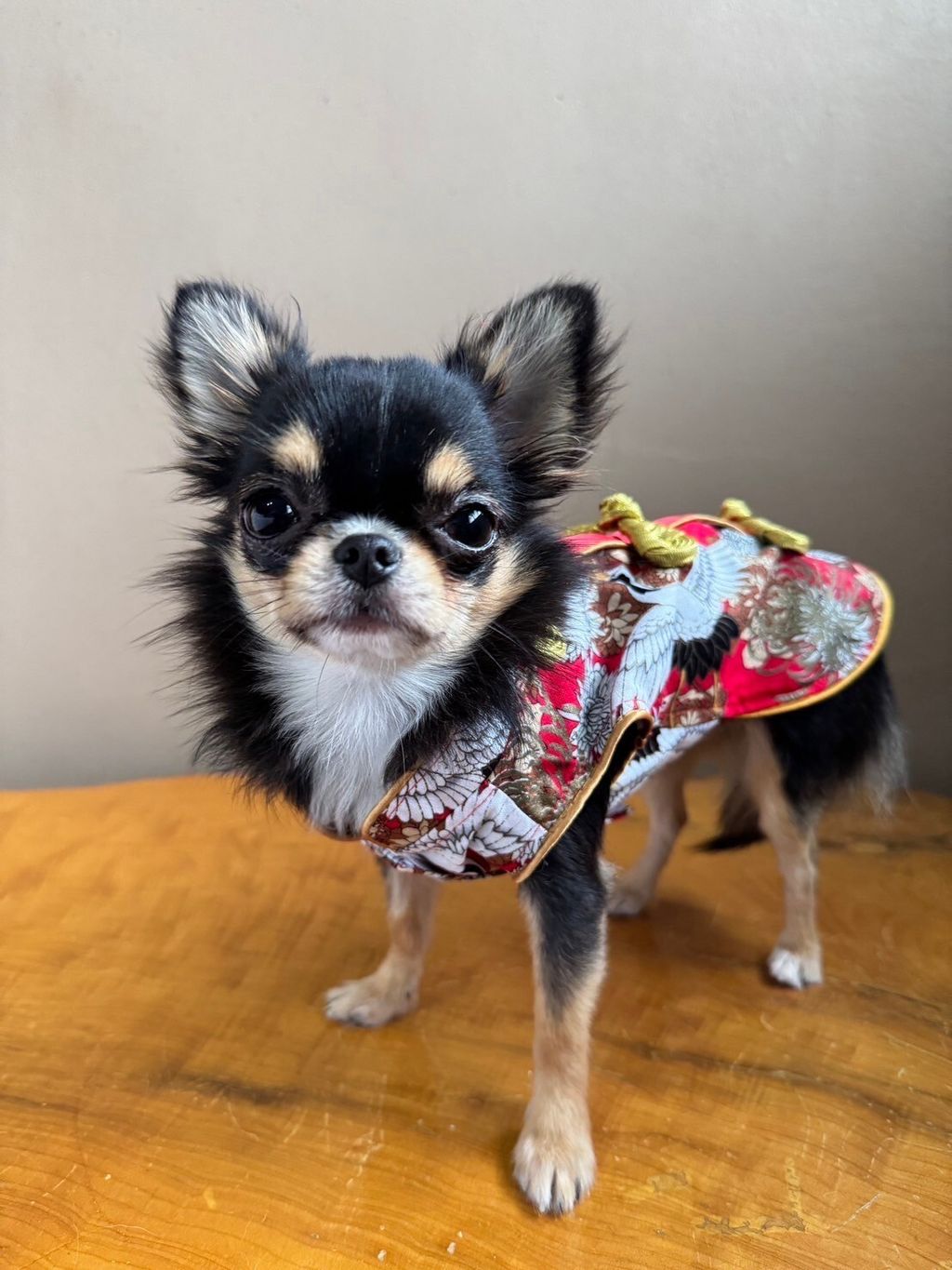 LINE_ALBUM_實穿照_241229_17