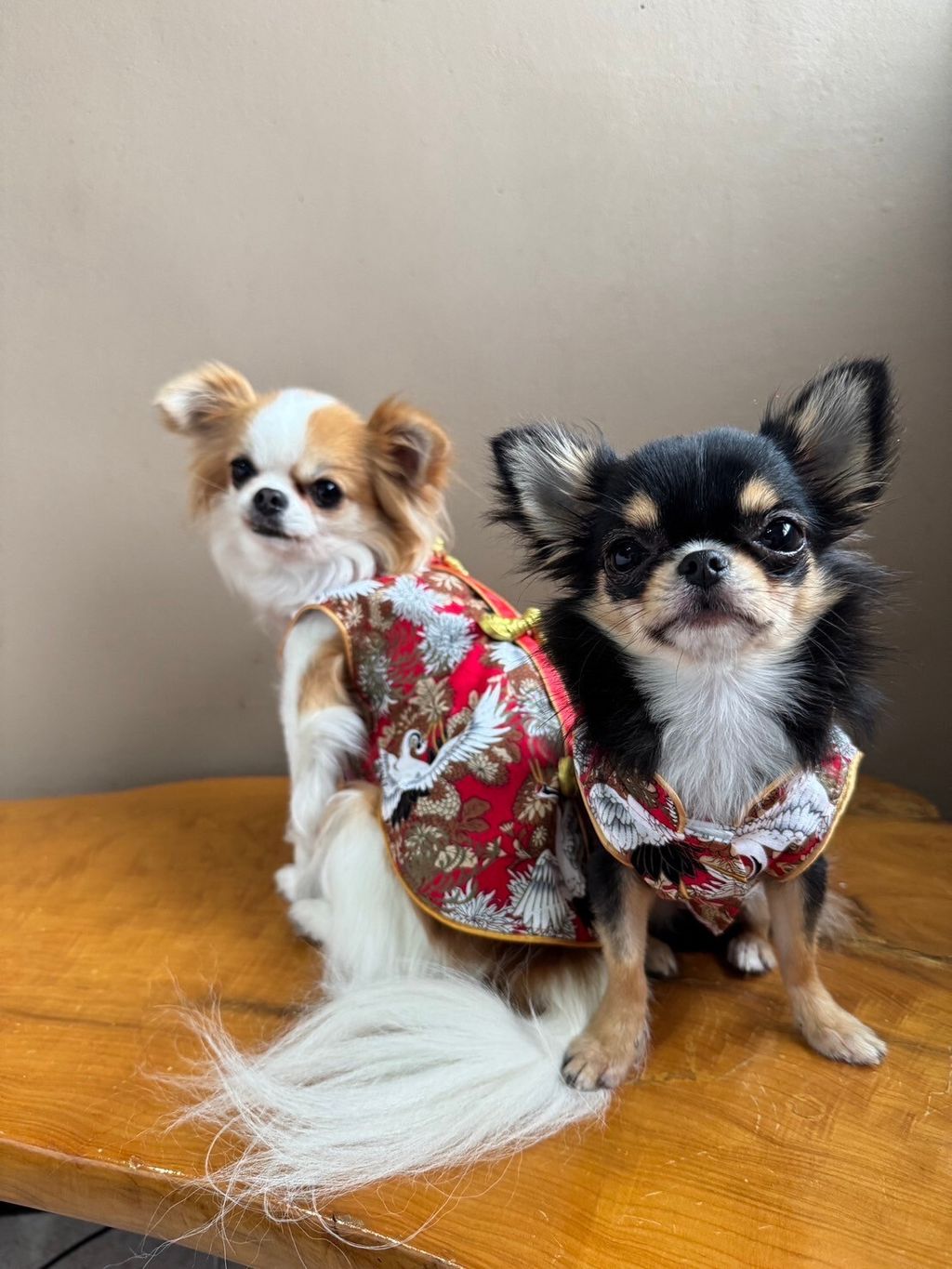 LINE_ALBUM_實穿照_241229_14