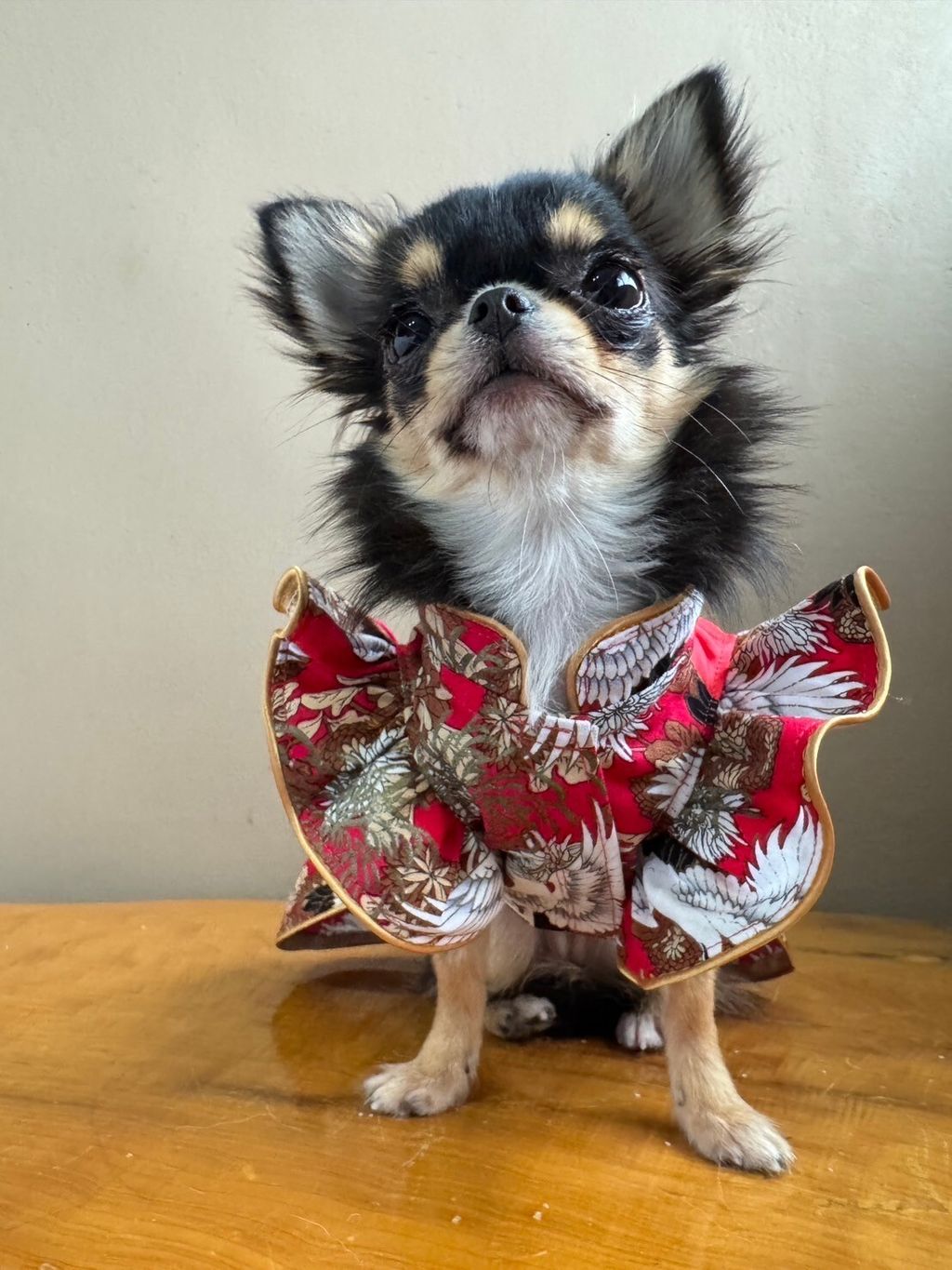 LINE_ALBUM_實穿照_241229_9