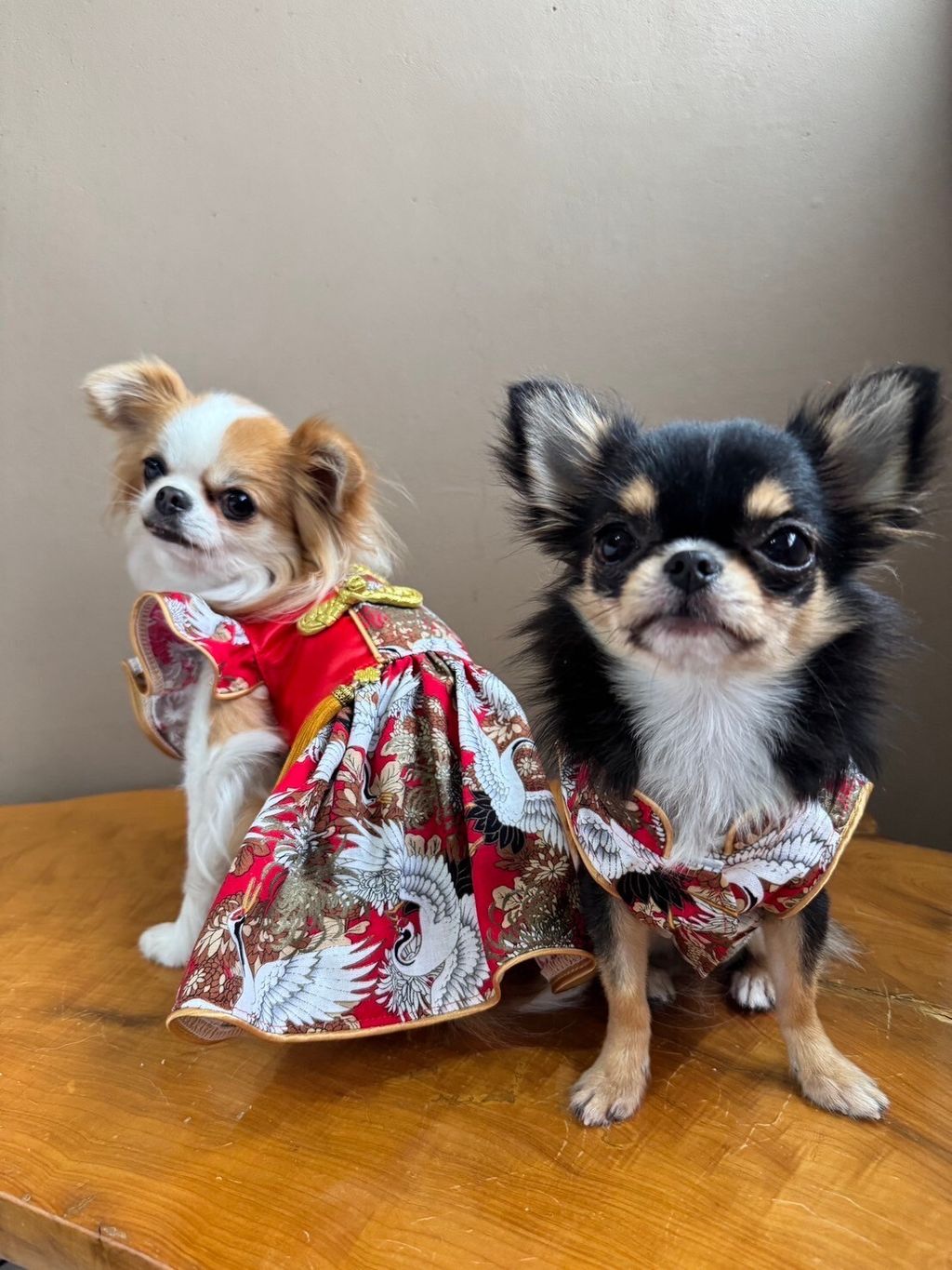 LINE_ALBUM_實穿照_241229_10