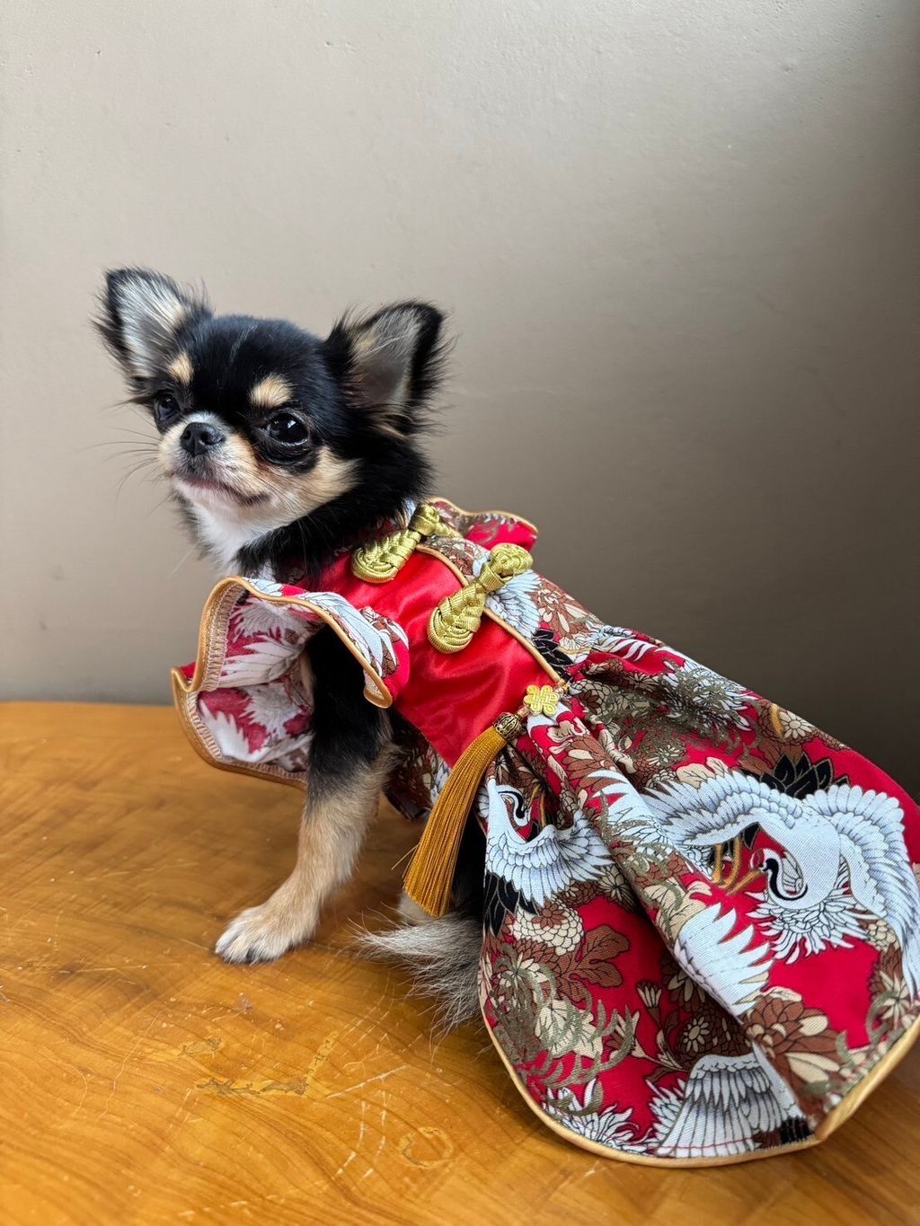 LINE_ALBUM_實穿照_241229_7