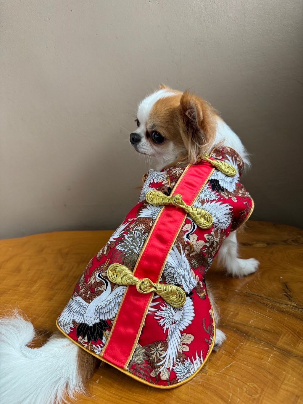 LINE_ALBUM_實穿照_241229_16