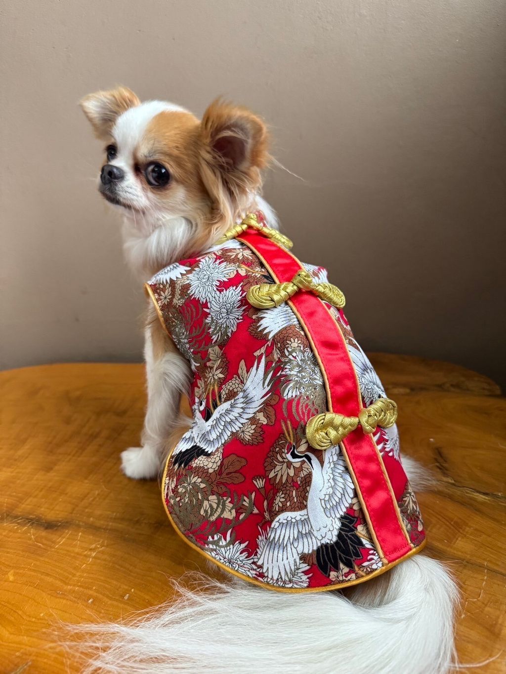 LINE_ALBUM_實穿照_241229_15