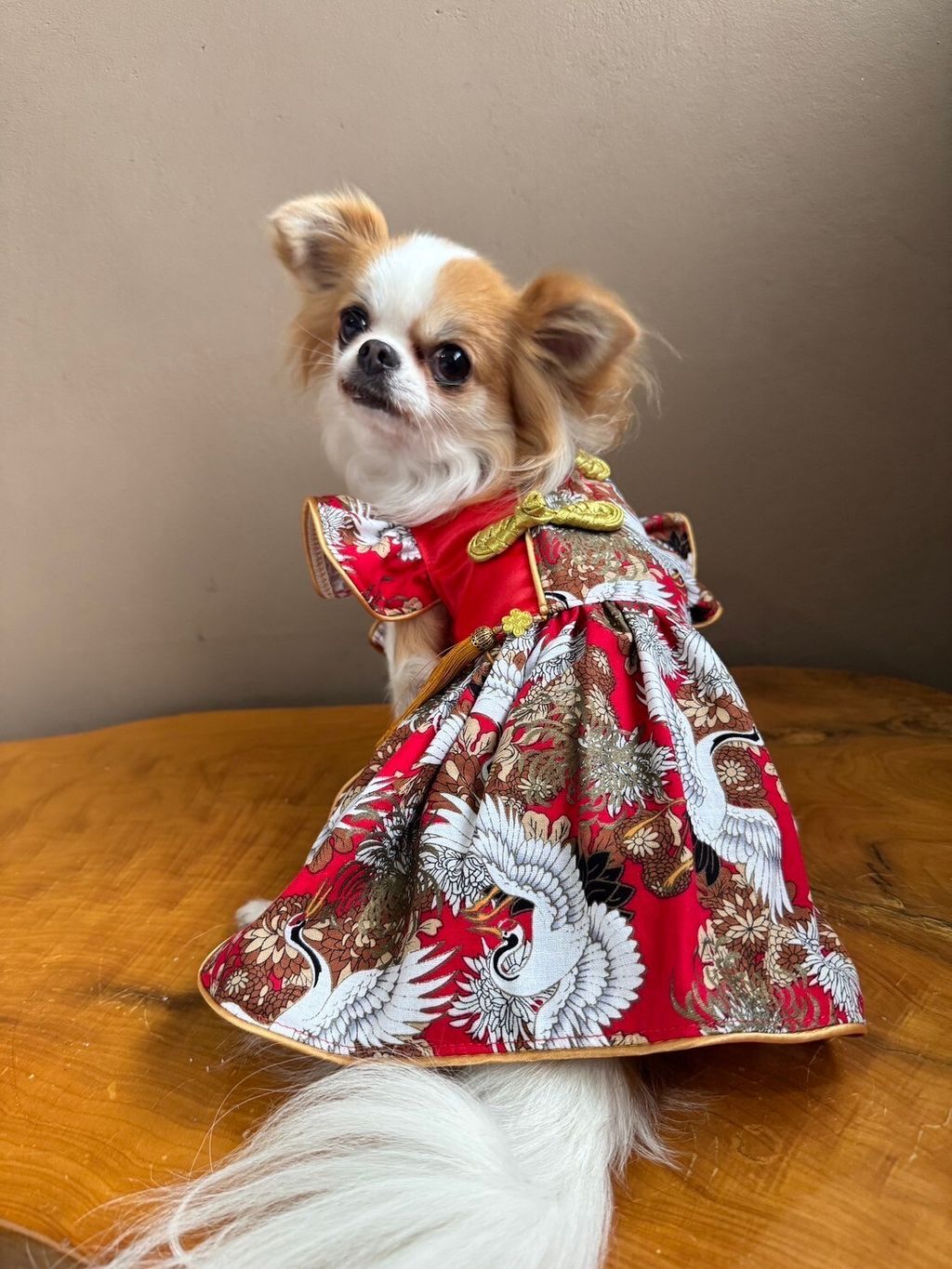 LINE_ALBUM_實穿照_241229_13