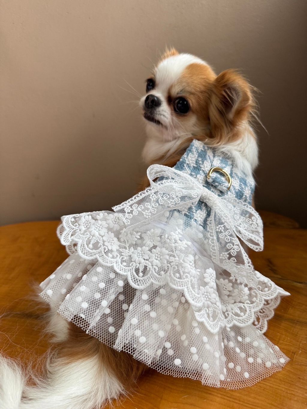 LINE_ALBUM_實穿照_241229_1