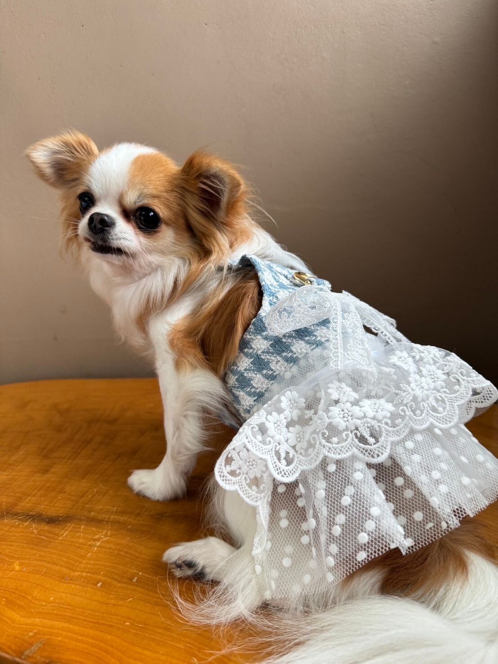 LINE_ALBUM_實穿照_241229_2