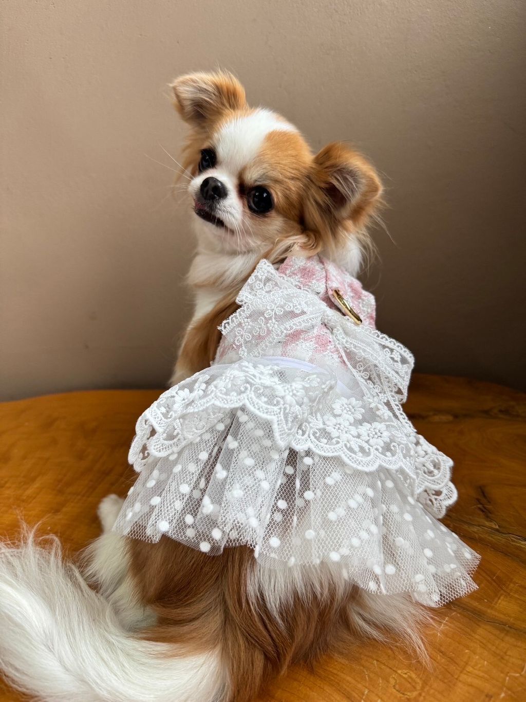 LINE_ALBUM_實穿照_241229_6