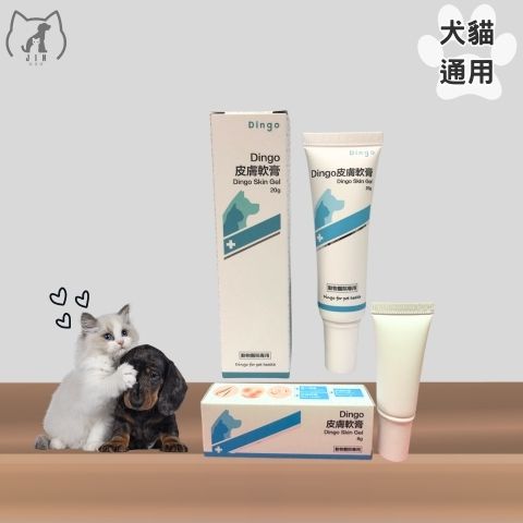 DINGO-皮軟
