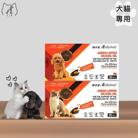 皇寵-關喜靈