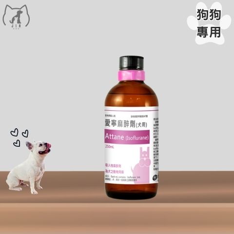 寶齡-愛可寧