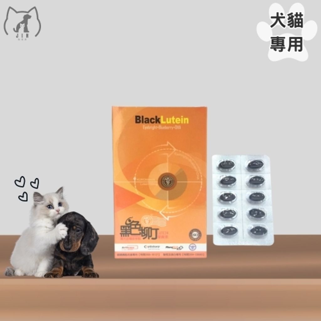 海吉尼斯-黑色柳丁