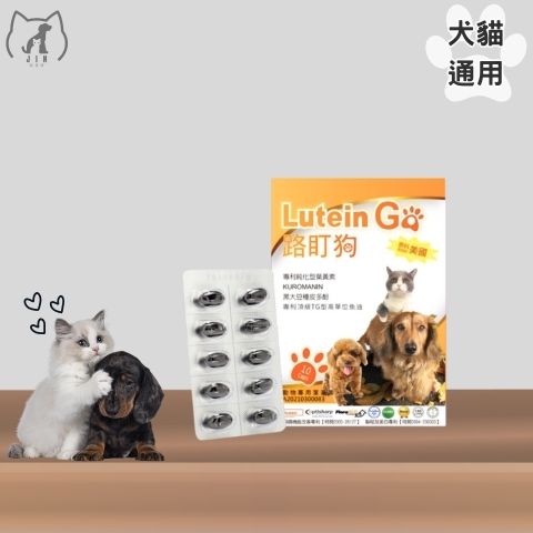 海吉尼斯-路盯