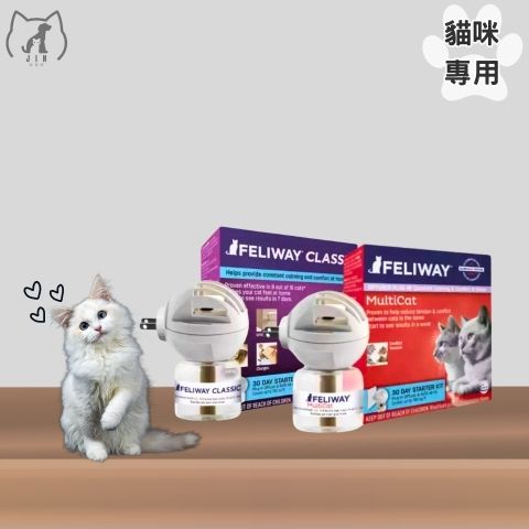 強普 插電組