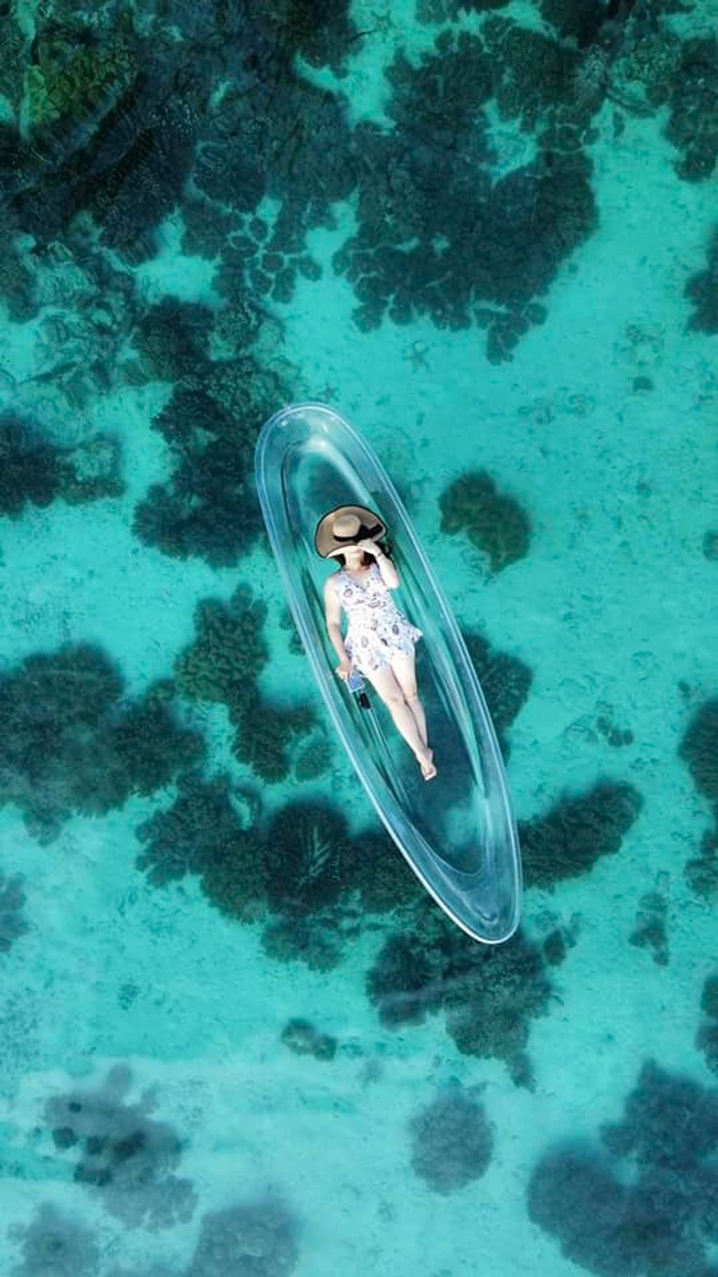 312993694_6419087464785763_513795788664040594_n