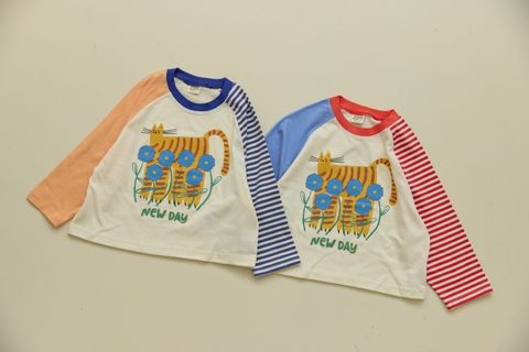 DM_20260327200950_003