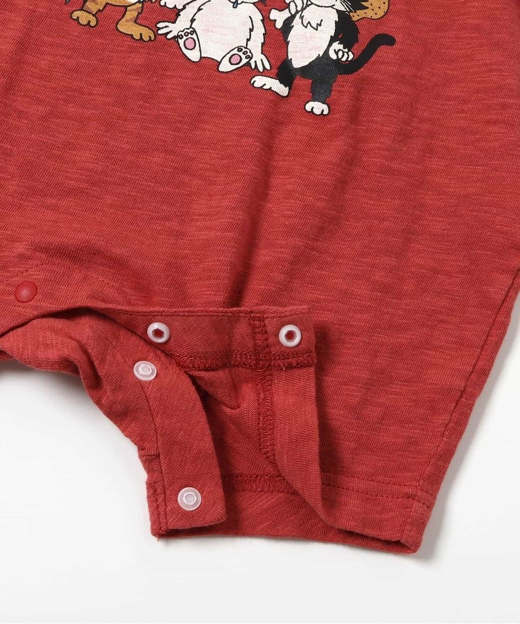 imgi_170_J233806_cRR_a007_pz