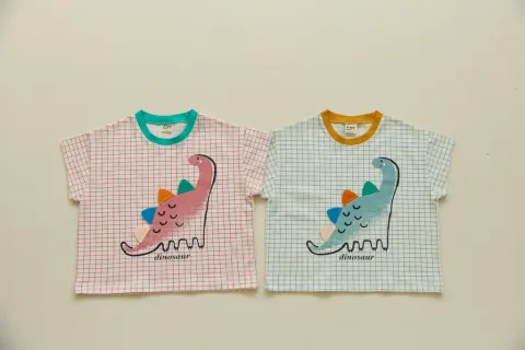DM_20260516103859_002