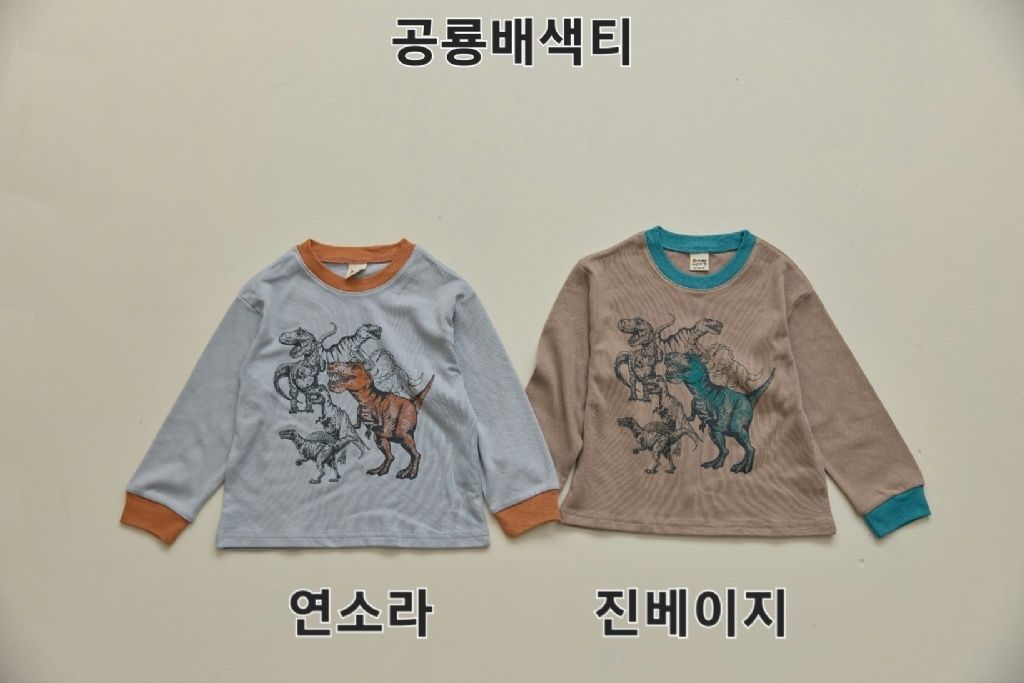 DM_20251030112507_002