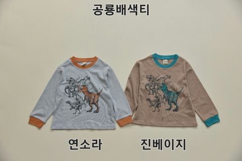 DM_20251030112507_002