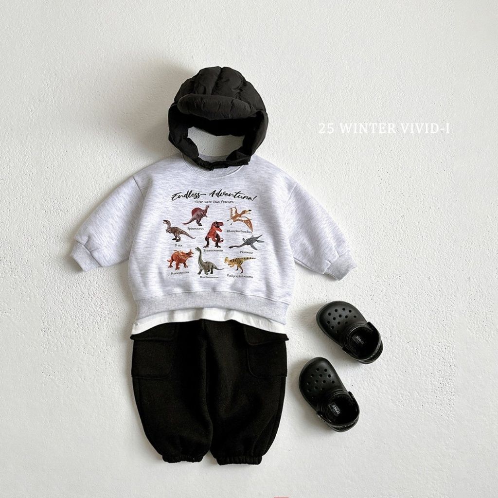 DM_20251117090412_008