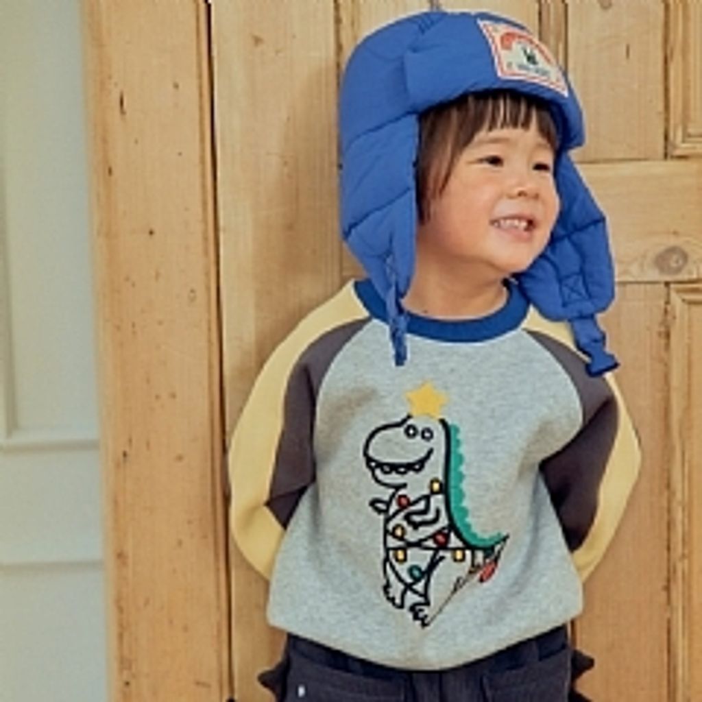 DM_20251124102656_001