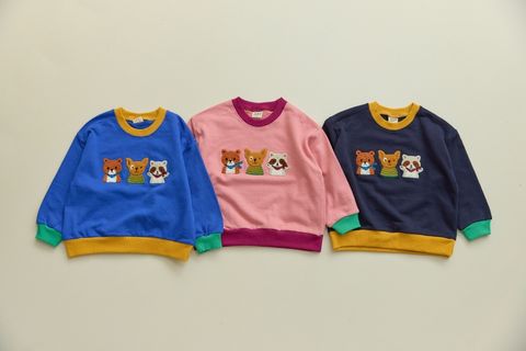 DM_20251209101401_002