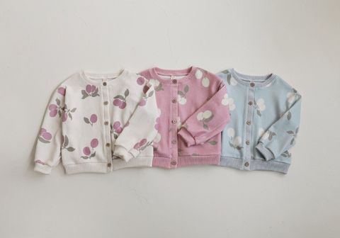 DM_20260115111604_002