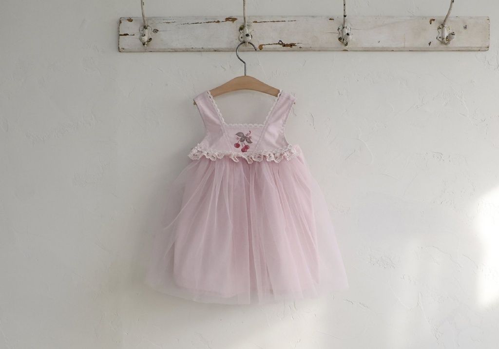 DM_20260115112407_002