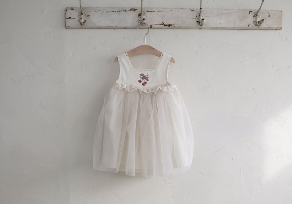 DM_20260115112436_001