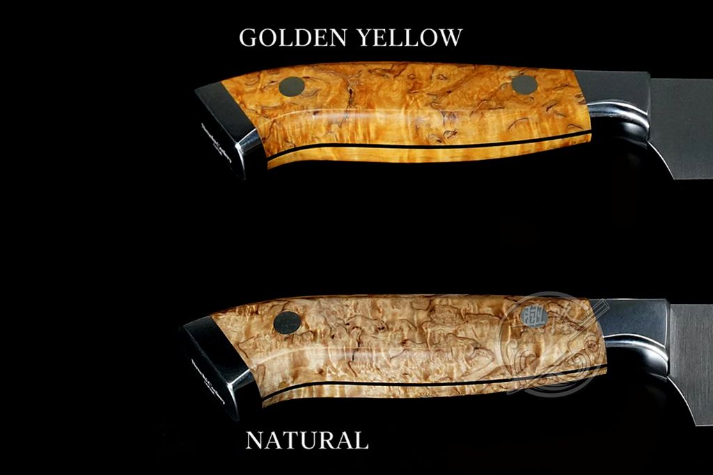 相片 2024-3-5 20 33 51+LOGO