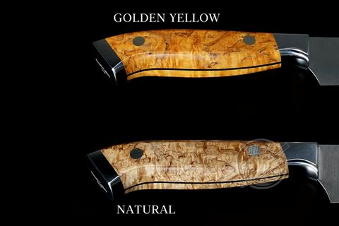 相片 2024-3-5 20 33 51+LOGO