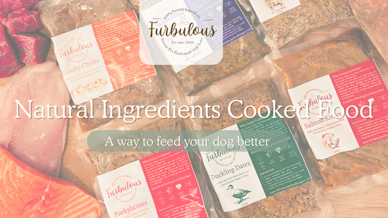  | Furbulous Pet Food Bangsar