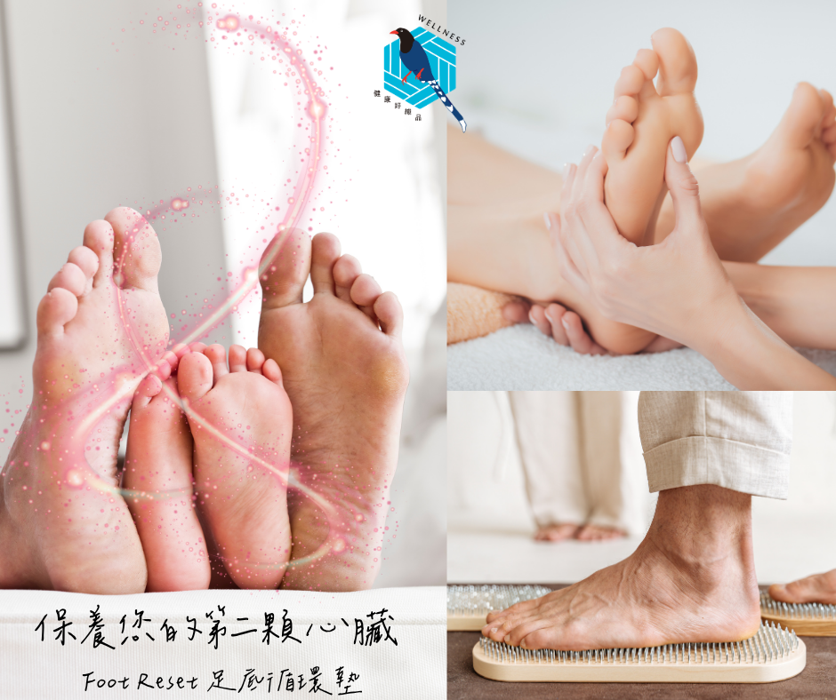 未命名的設計 的複本 (3)
