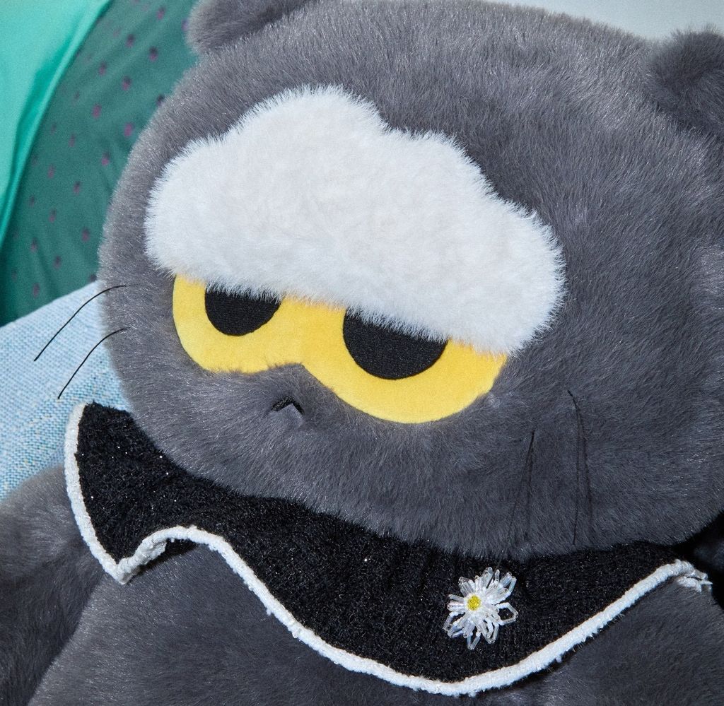 image_C80024E7-5196-4855-B73D-F8ABF7CB814E_1772788750