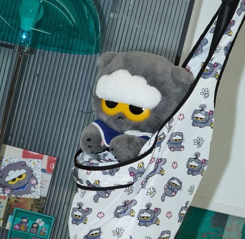 image_25DDAFC8-2423-4F58-95AB-3031FB09789A_1772792697